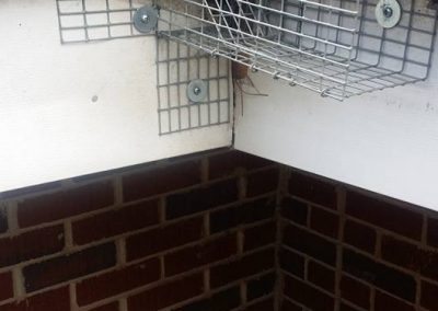Affordable Wildlife Trapping