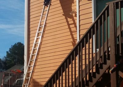 Excellent Pest Control Service