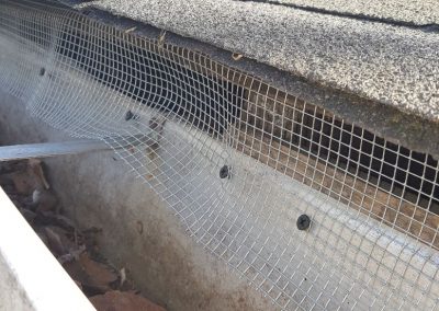 Local Pest Control Service