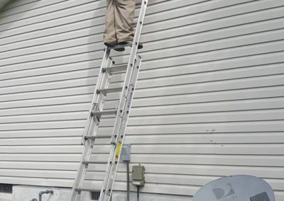 Pest Control Service Provider
