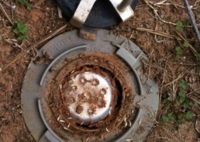 Pest Control Services Lithonia