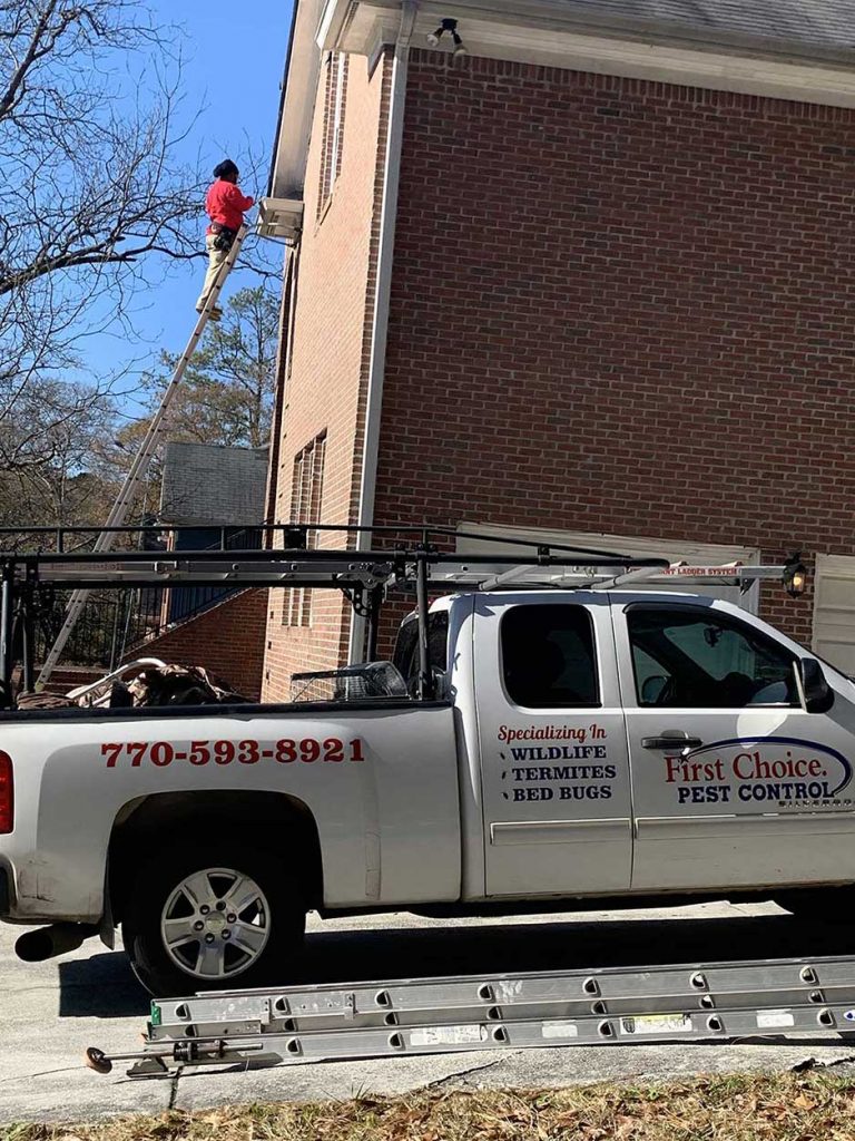 Reliable Pest Control Service