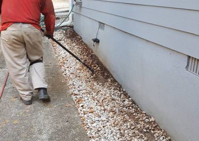 Reliable Termite Inspector