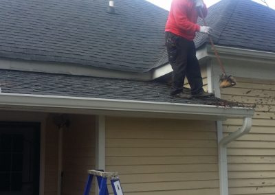 Reputable Pest Control Service
