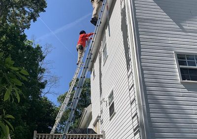 Squirrel Removal