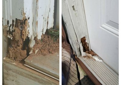 Termite Inspection Service Lithonia GA
