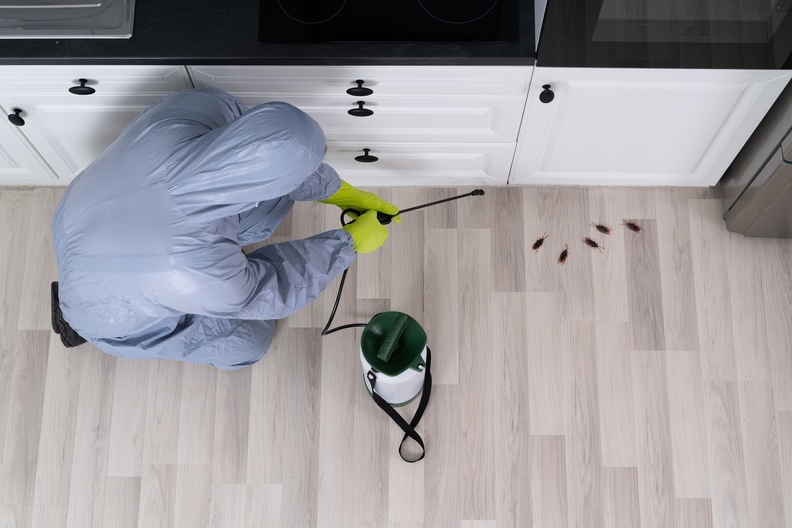 Pest Control Solution