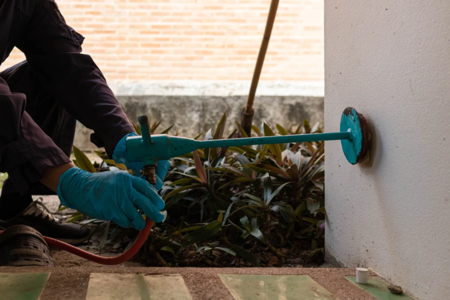 Termite Treatment